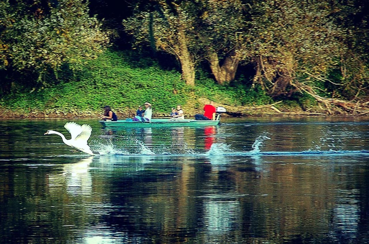 Zagreb, Kuca Za Odmor Swan River Holiday House Lasinja المظهر الخارجي الصورة