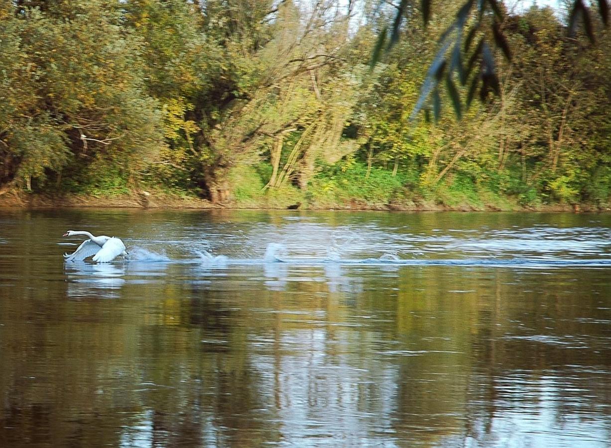 Zagreb, Kuca Za Odmor Swan River Holiday House Lasinja المظهر الخارجي الصورة