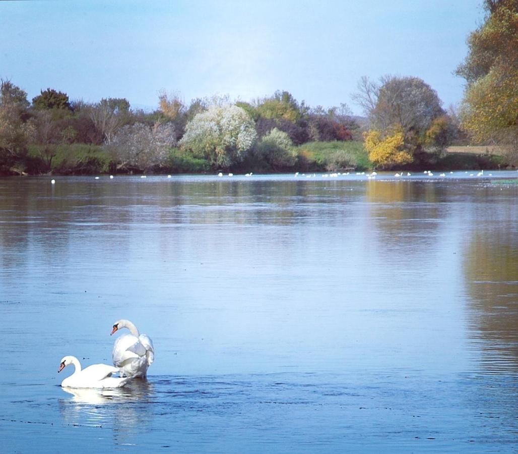 Zagreb, Kuca Za Odmor Swan River Holiday House Lasinja المظهر الخارجي الصورة